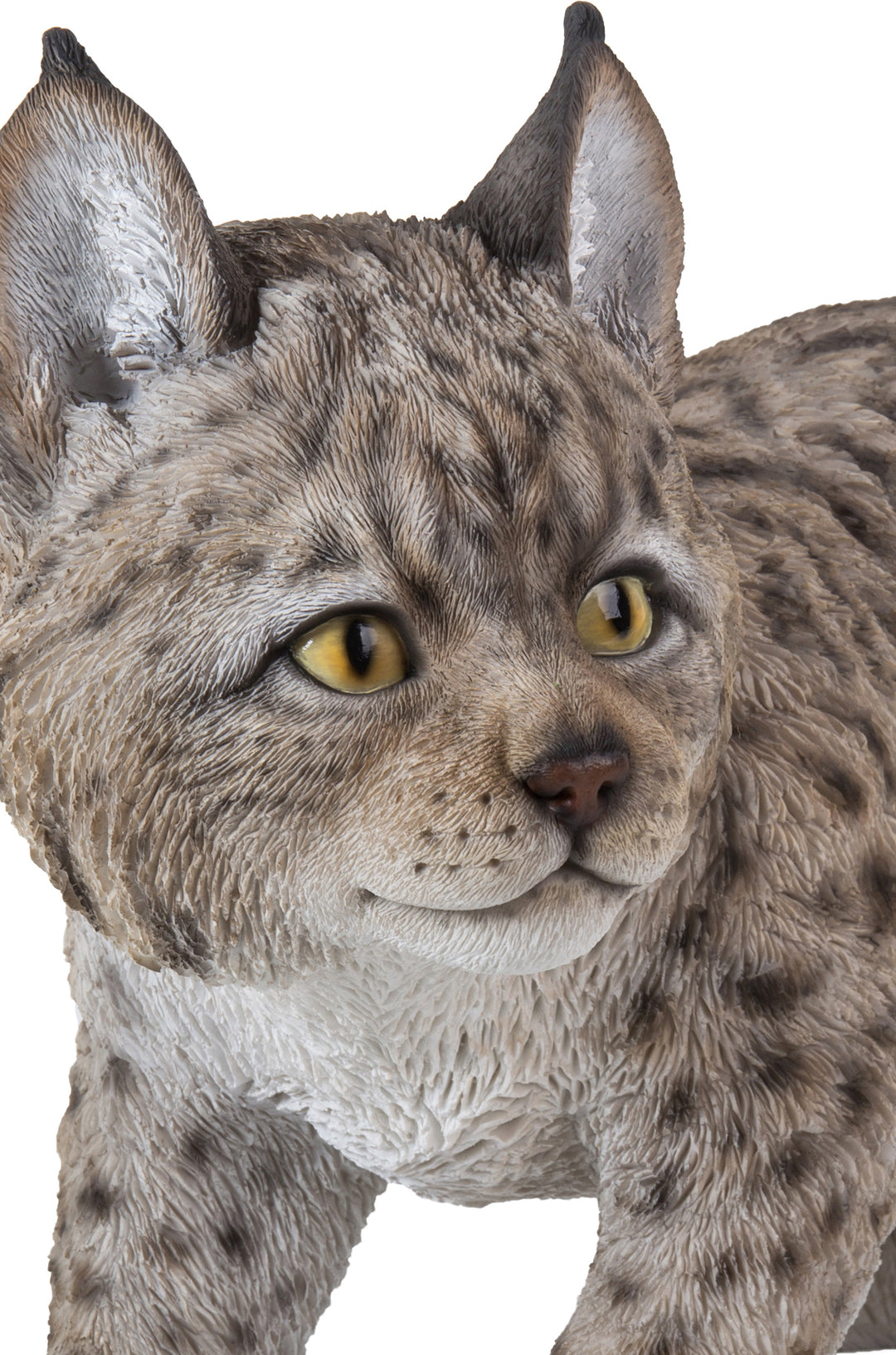 Lynx Kitten Hi-Line Gift Ltd.