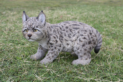 Lynx Kitten Hi-Line Gift Ltd.