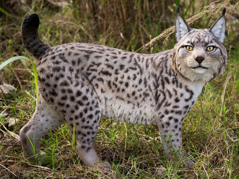レフティ 希少 1番 ロングアイアン リンクス・Lynx U.S.A MODEL Rare Lynx 