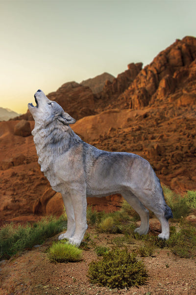Hi-Line Exclusive - Standing Howling Gray Wolf Statue HI-LINE GIFT LTD.
