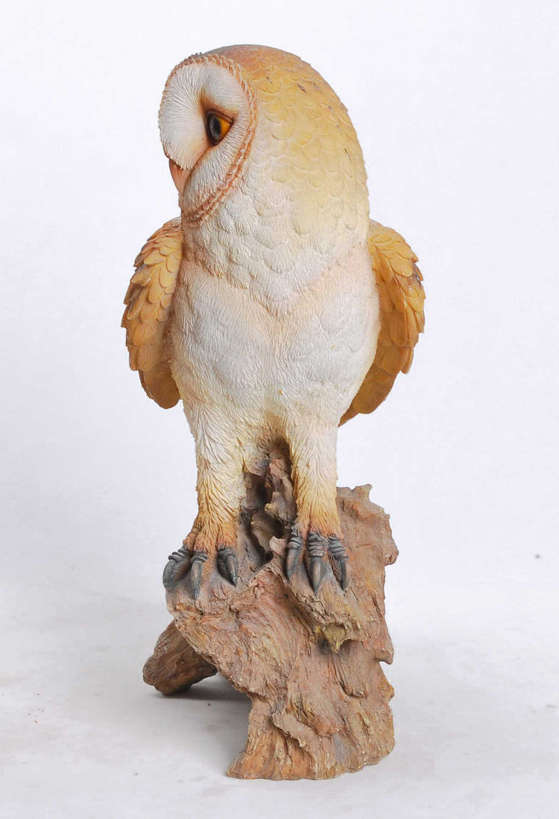 Barn Owl on Branch HI-LINE GIFT LTD.
