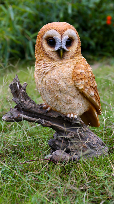 Tawny Owl On Stump - Garden Statue HI-LINE GIFT LTD.
