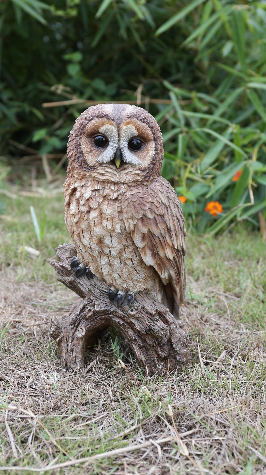 Brown Owl on Stump HI-LINE GIFT LTD.