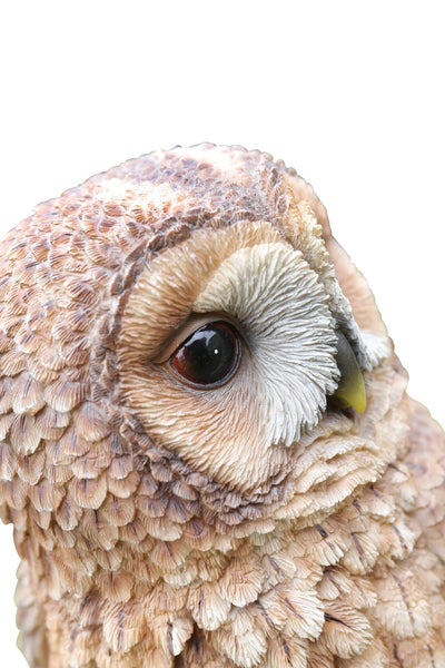 Brown Owl on Stump HI-LINE GIFT LTD.