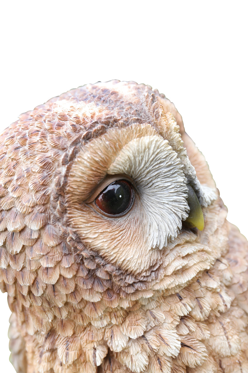 Brown Owl on Stump HI-LINE GIFT LTD.