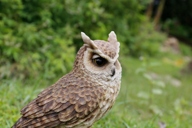 Long Eared Owl On Stump Statue HI-LINE GIFT LTD.