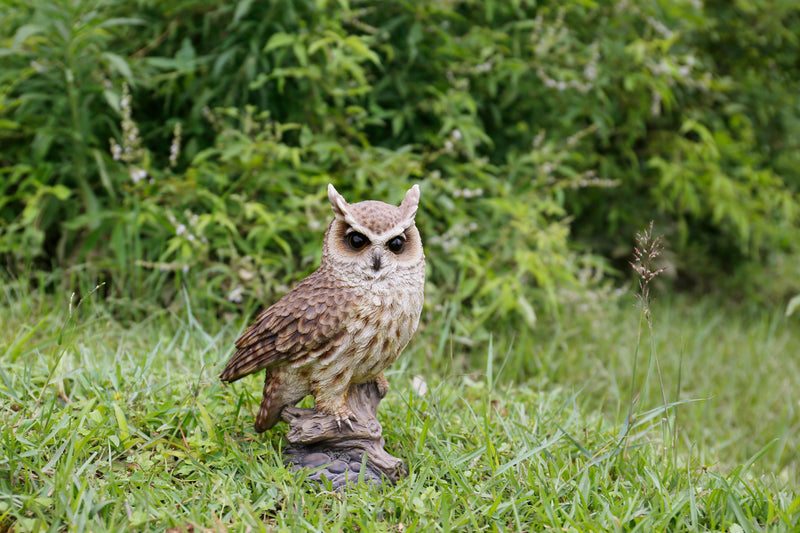 Long Eared Owl On Stump Statue HI-LINE GIFT LTD.