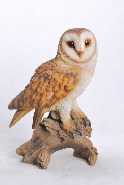 Barn Owl on Branch HI-LINE GIFT LTD.
