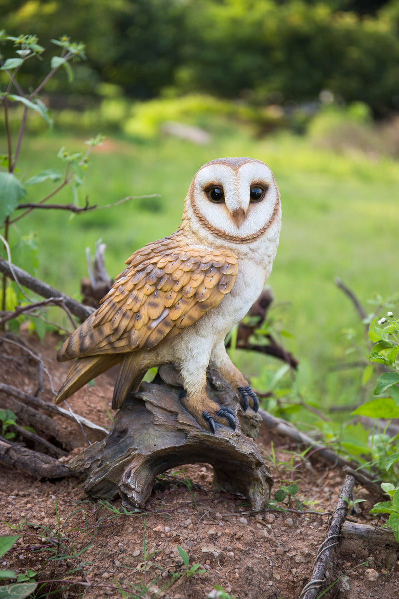 Barn Owl on Branch HI-LINE GIFT LTD.