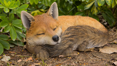 Fox Sleeping Hi-Line Gift Ltd.