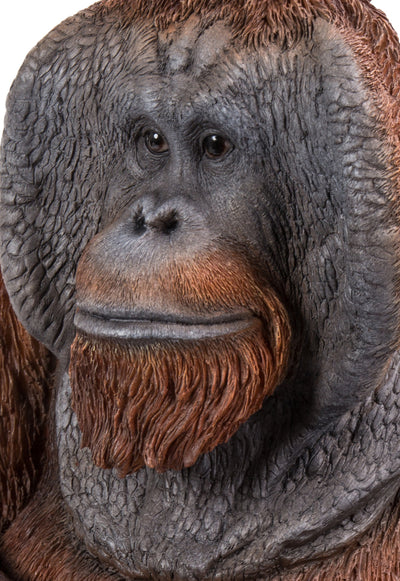 87720-B - Orangutan Sitting Hi-Line Gift Ltd.