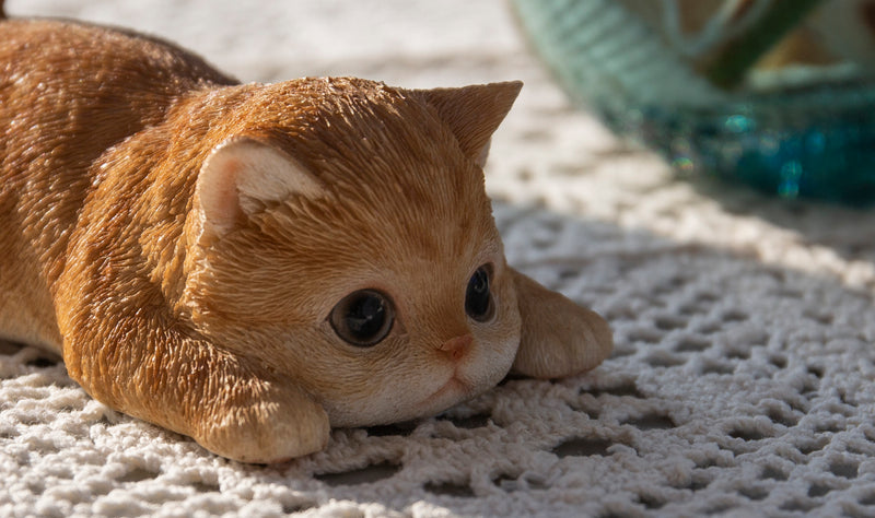 Orange Tabby Magnet HI-LINE GIFT LTD.