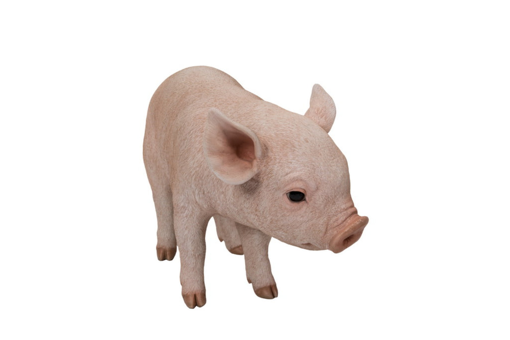 Standing Baby Pig – Hi-Line Gift Ltd.