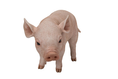 Standing Baby Pig Hi-Line Gift Ltd.