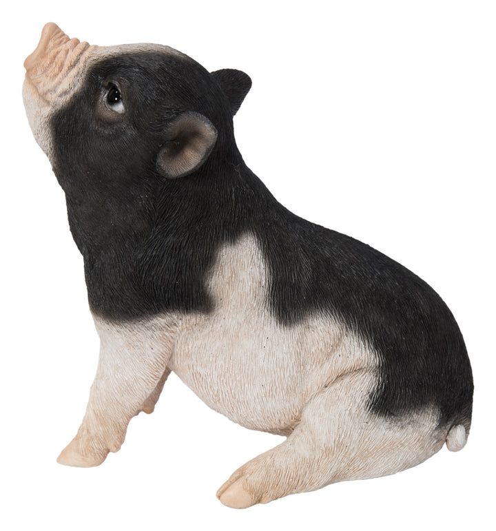 Baby Pig Sitting - Black And White HI-LINE GIFT LTD.