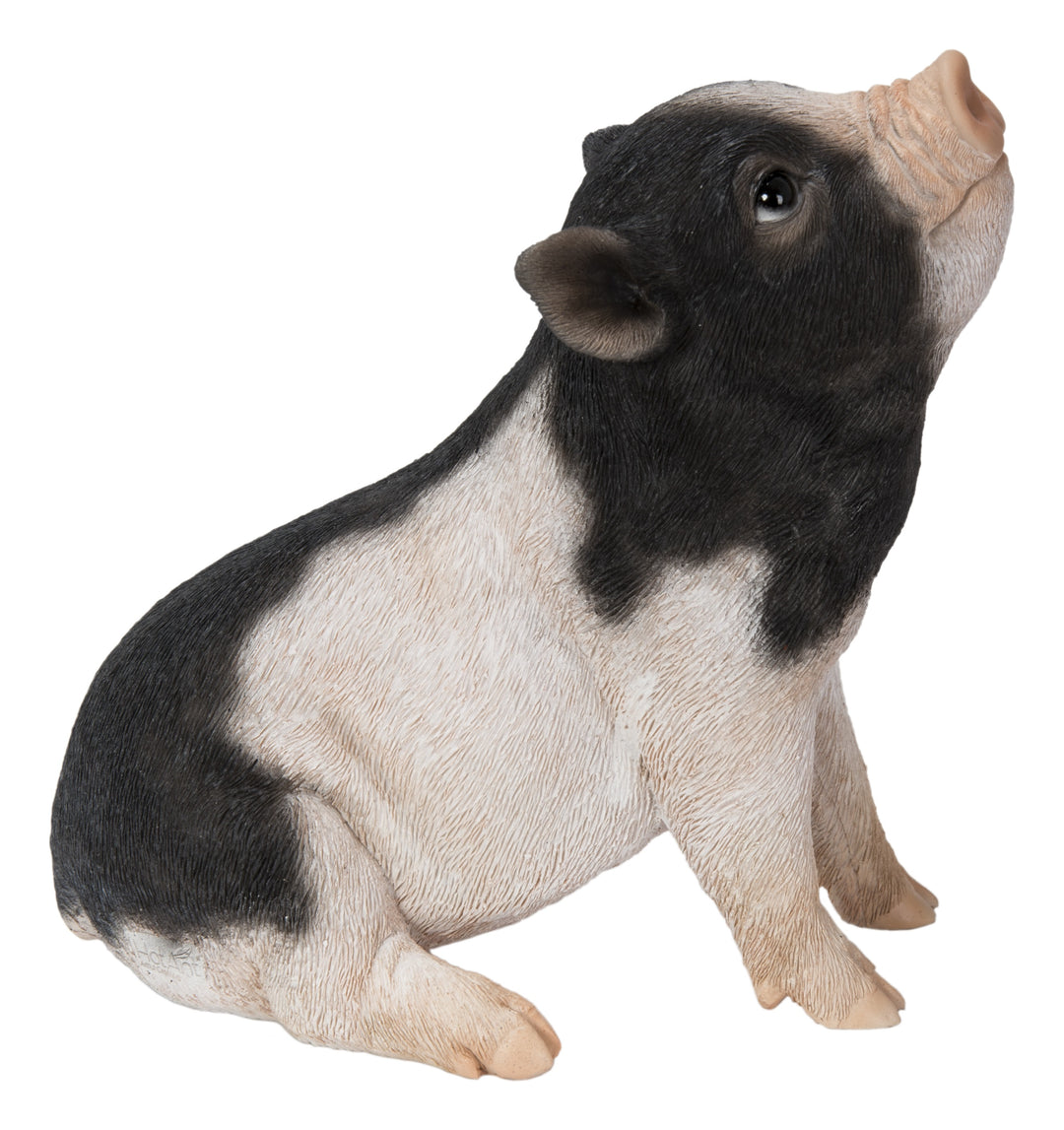 Baby Pig Sitting - Black And White HI-LINE GIFT LTD.