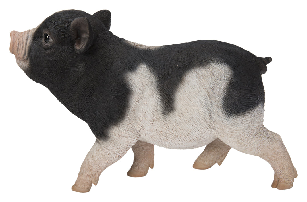Baby Pig Standing - Black And White HI-LINE GIFT LTD.
