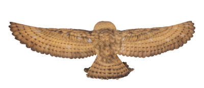 Barn Owl Flying Statue Hi-Line Gift Ltd.