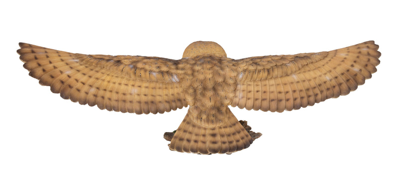 Barn Owl Flying Statue Hi-Line Gift Ltd.