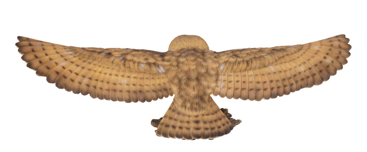 Barn Owl Flying Statue Hi-Line Gift Ltd.