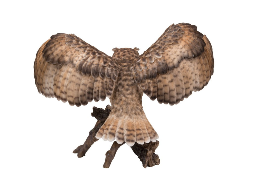 Eagle Owl On Branch W/Wings Out Hi-Line Gift Ltd.