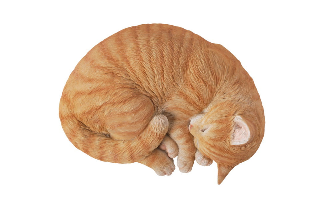 Orange Tabby Cat Sleeping Lying Down HI-LINE GIFT LTD.