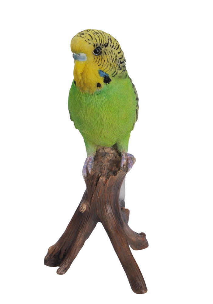 Budgie On Branch Hi-Line Gift Ltd.