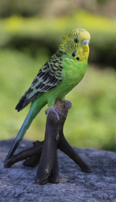 Budgie On Branch Hi-Line Gift Ltd.