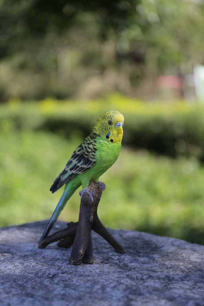 Budgie On Branch Hi-Line Gift Ltd.