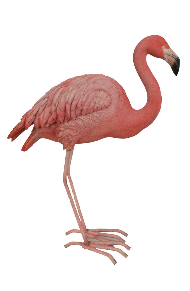 Flamingo Hi-Line Gift Ltd.