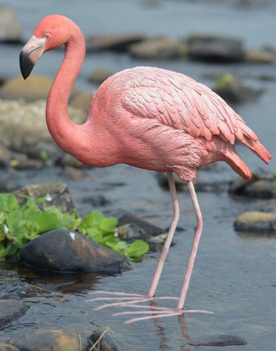 Flamingo Hi-Line Gift Ltd.