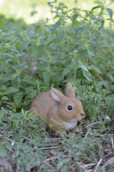 Sitting Rabbit HI-LINE GIFT LTD.