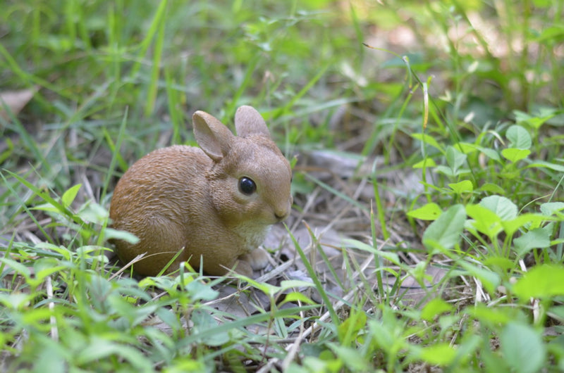 Small Sitting Rabbit HI-LINE GIFT LTD.