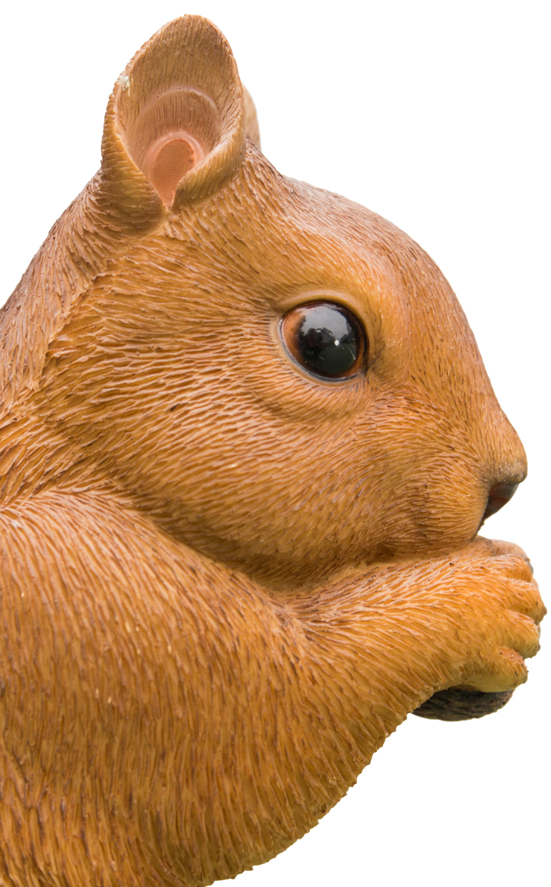 Brown Squirrel Eating Statue HI-LINE GIFT LTD.