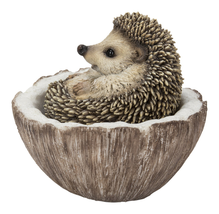 Coconut Hedgehog HI-LINE GIFT LTD.