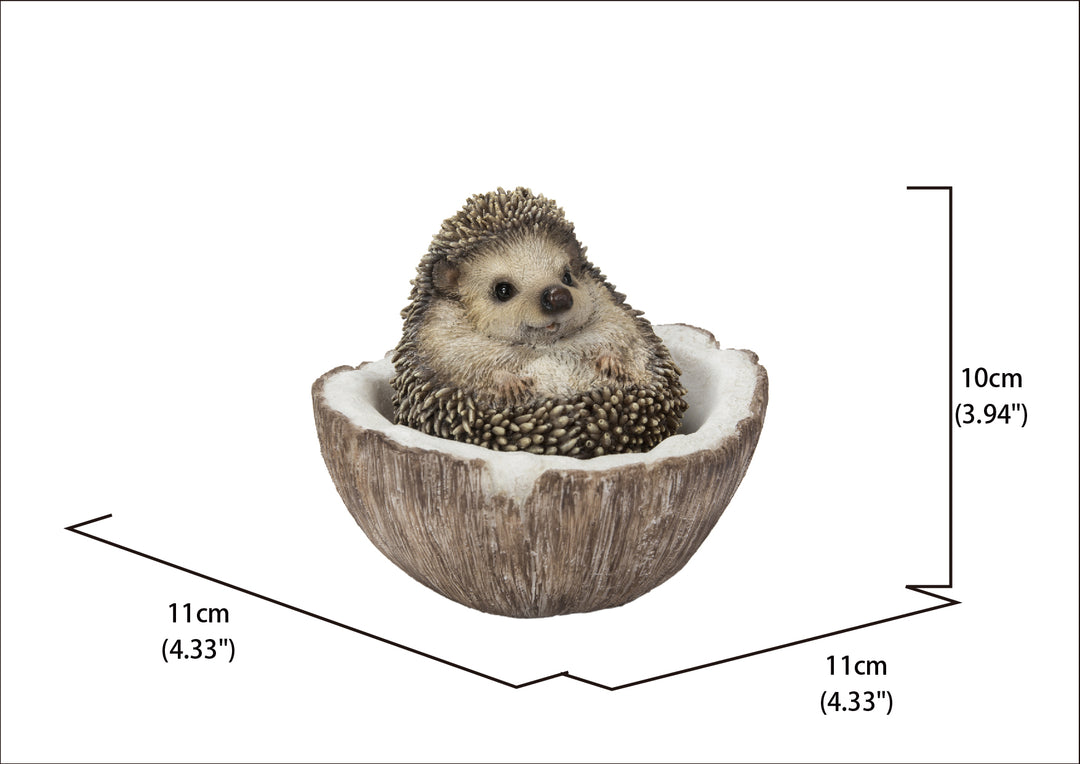Coconut Hedgehog HI-LINE GIFT LTD.