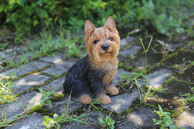 Yorkshire Terrier Sitting Statue HI-LINE GIFT LTD.