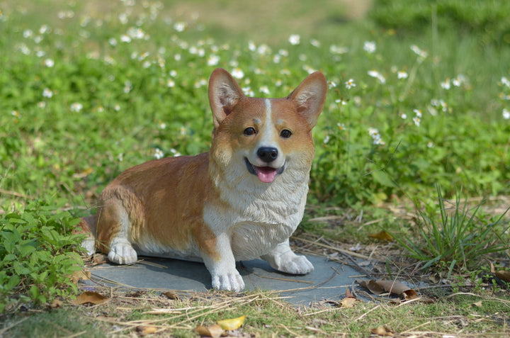 Corgi Resin Statue for Playful Garden Accent – Hi-Line Gift Ltd.