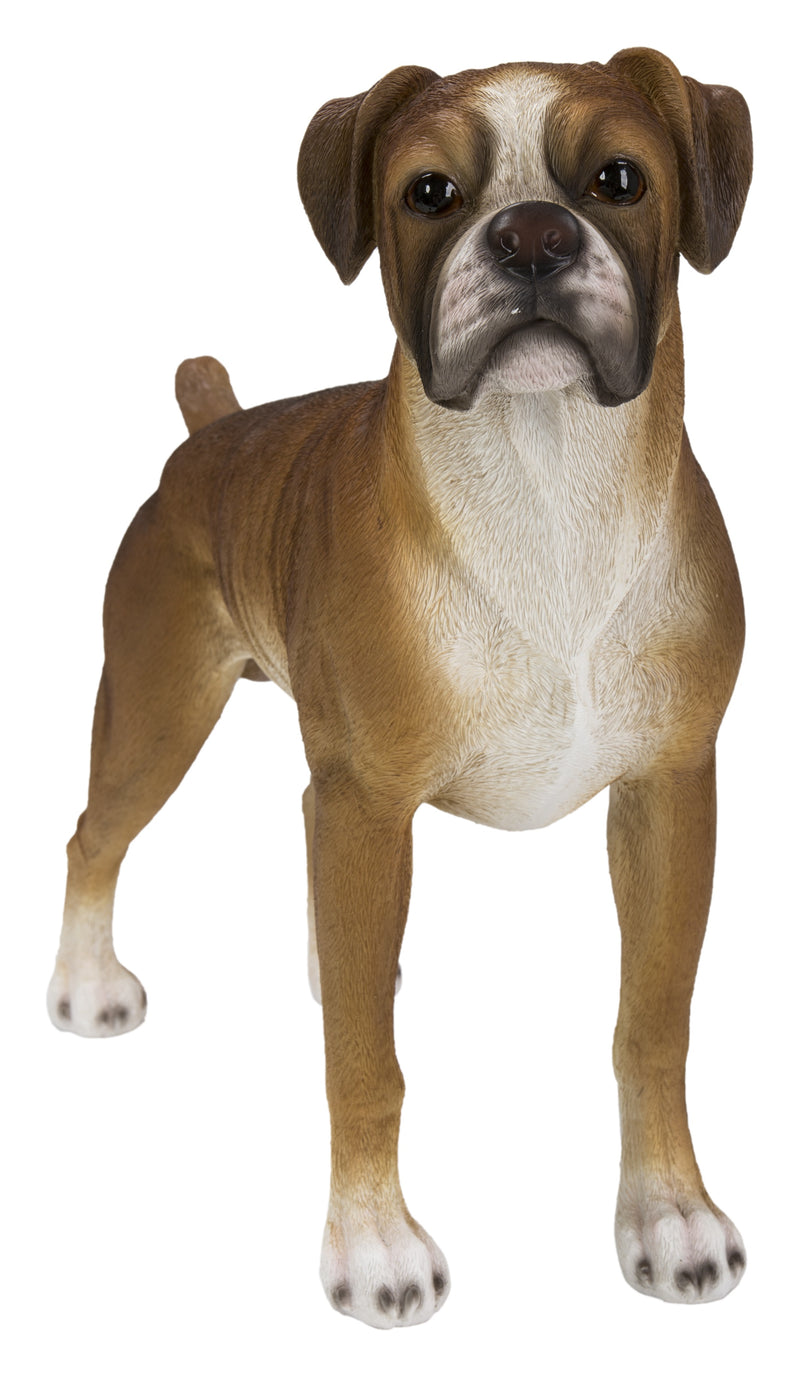 Boxer Dog Standing HI-LINE GIFT LTD.