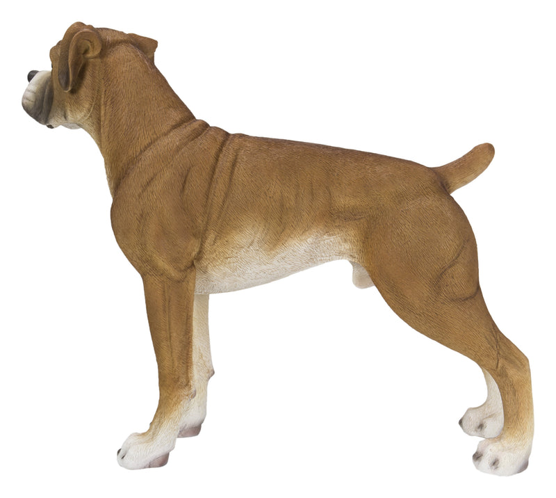 Boxer Dog Standing HI-LINE GIFT LTD.