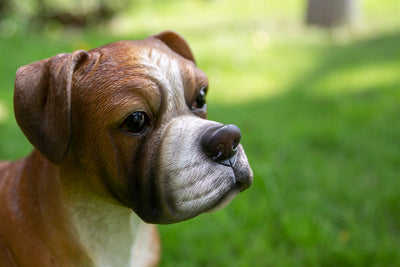 Boxer Dog Standing HI-LINE GIFT LTD.