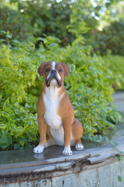 Boxer Sitting Statue HI-LINE GIFT LTD.
