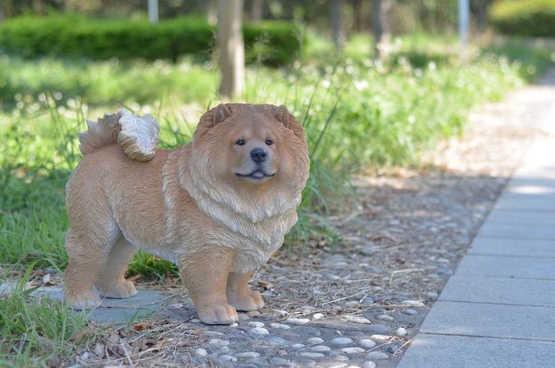 Standing Chow Chow Hi-Line Gift Ltd.