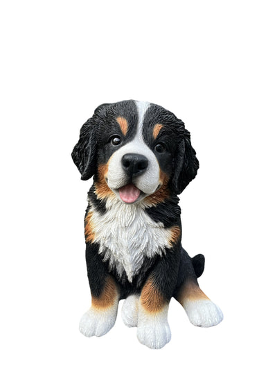87750-B - 12.5" H Bernese Mountain Puppy Sitting (Hi-Line Exclusive) Hi-Line Gift Ltd.