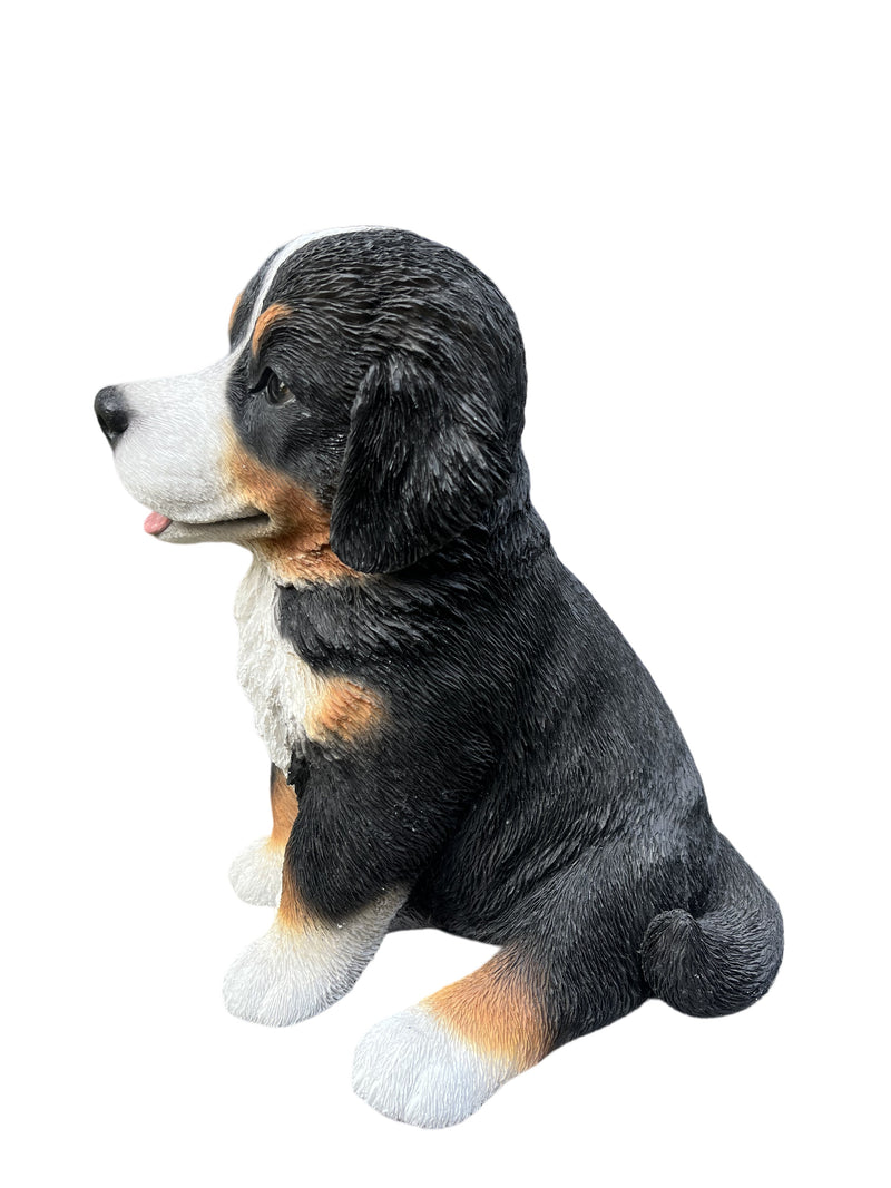 87750-B - 12.5" H Bernese Mountain Puppy Sitting (Hi-Line Exclusive) Hi-Line Gift Ltd.