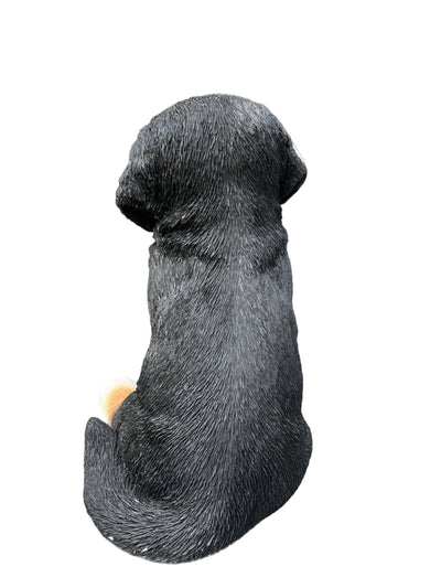 87750-B - 12.5" H Bernese Mountain Puppy Sitting (Hi-Line Exclusive) Hi-Line Gift Ltd.