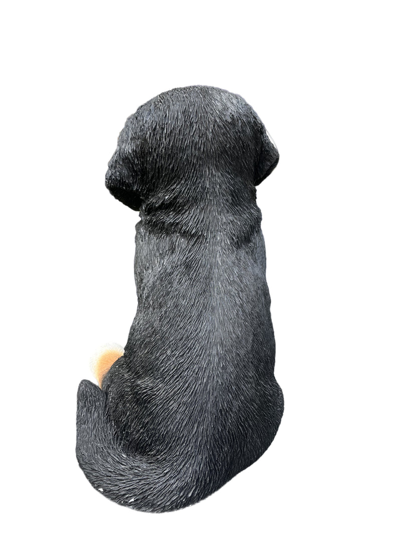 87750-B - 12.5" H Bernese Mountain Puppy Sitting (Hi-Line Exclusive) Hi-Line Gift Ltd.