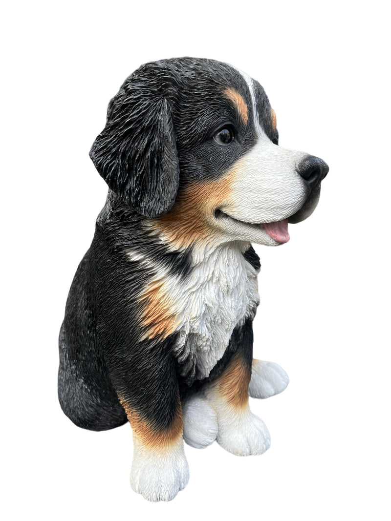 87750-B - 12.5" H Bernese Mountain Puppy Sitting (Hi-Line Exclusive) Hi-Line Gift Ltd.