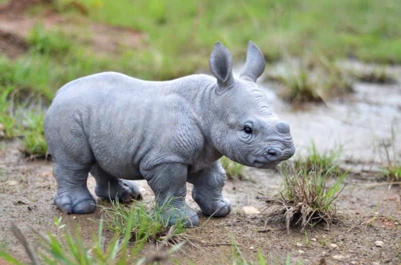 Rhino Baby Statue Hi-Line Gift Ltd.