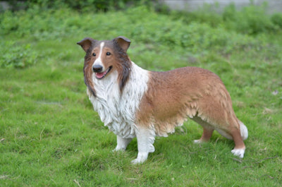 Collie Statue HI-LINE GIFT LTD.